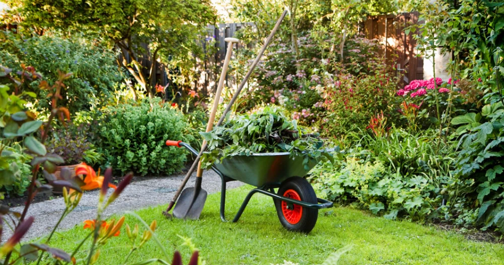 Guide des outils de jardinage essentiels