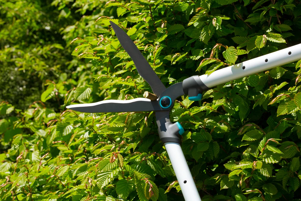 Cisaille haie Gardena TeleCut Télescopique – Gardena (vue 3)