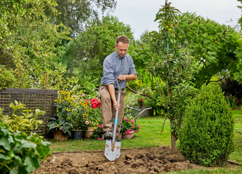 Bêche Gardena NatureLine pointue FSC 100% – Gardena (vue 3)