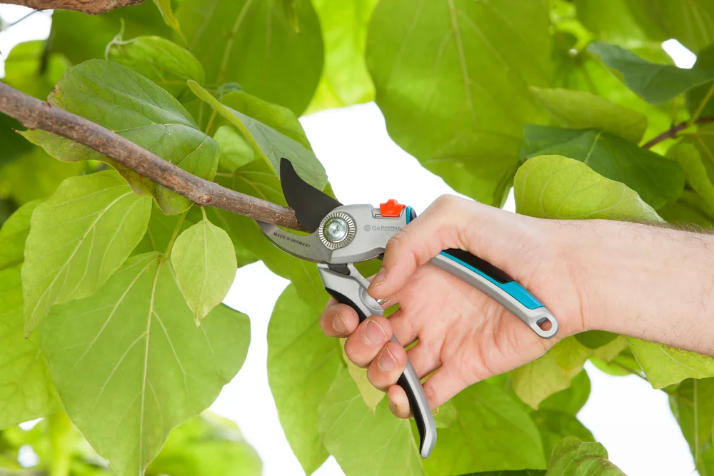 Sécateur alu à lame franche Comfort B/L – Gardena (vue 2)